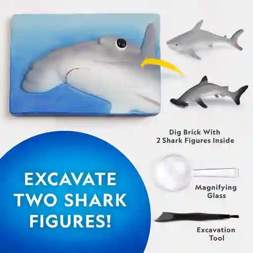 Kit de Excavación de Tiburones National Geographic National Geographic