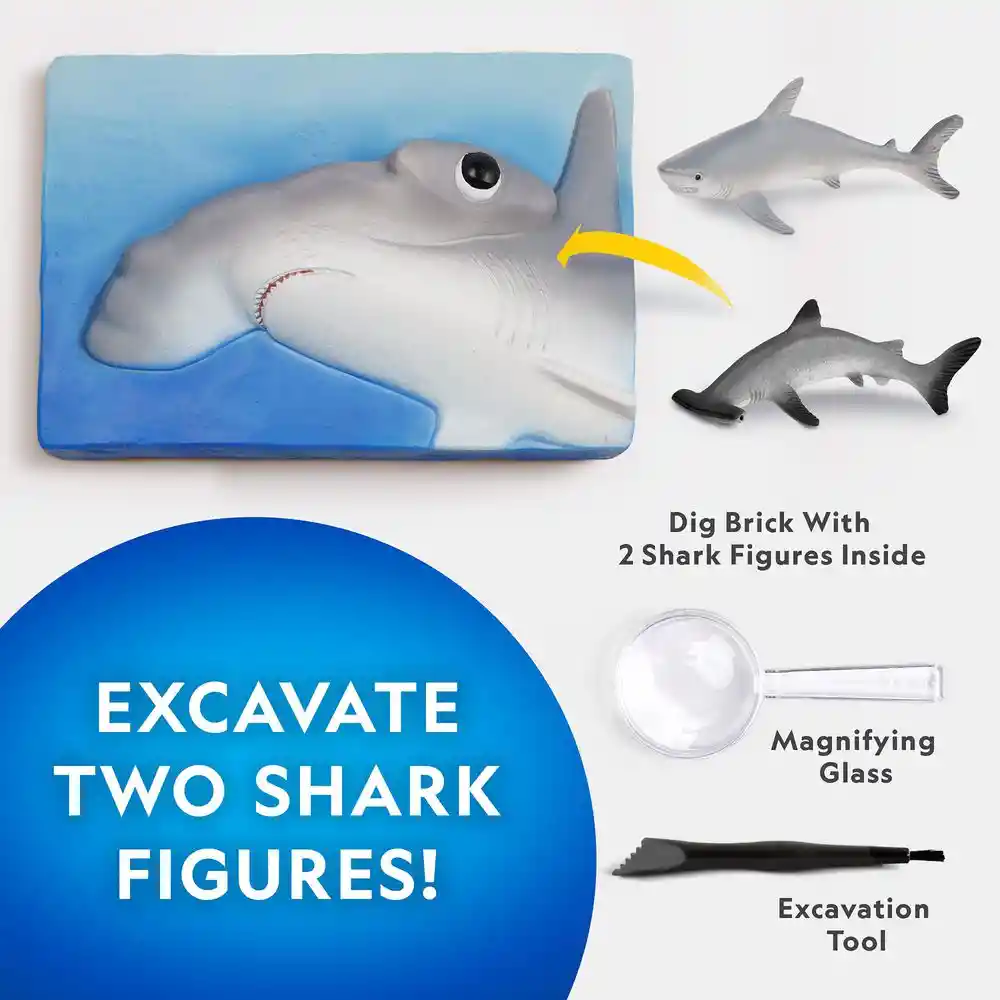 Kit de Excavación de Tiburones National Geographic National Geographic