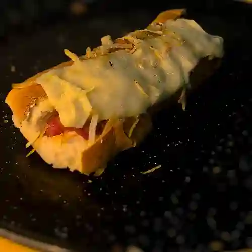 Perro Sencillo