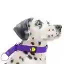 Felcan Collar Para Perro Control Morado Único