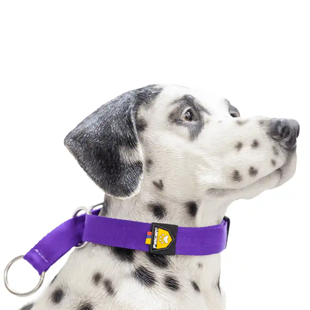 Felcan Collar Para Perro Control Morado Único