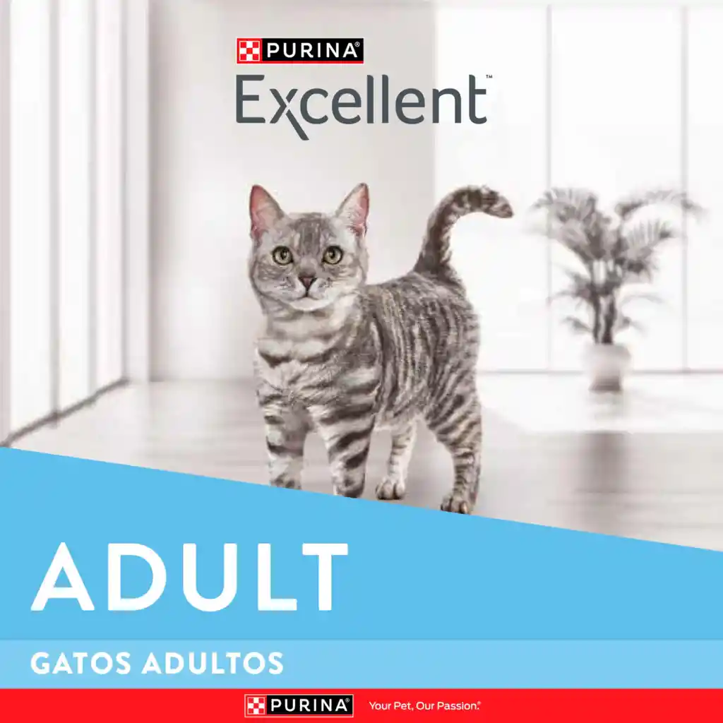 Comida para gatos EXCELLENT Adult Cat x 1 kg