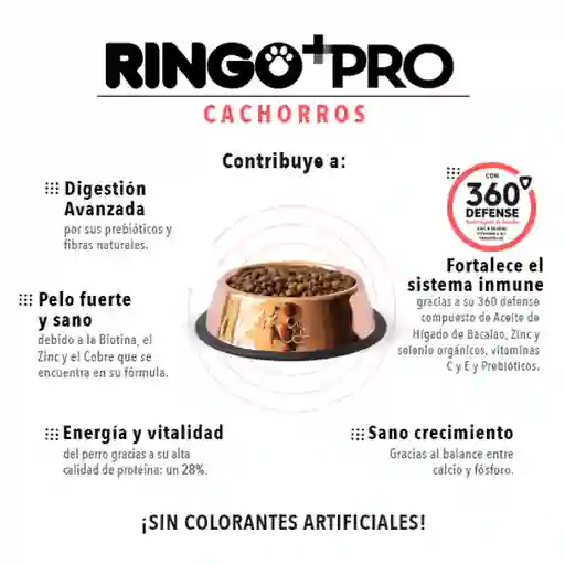 Alimento Para Perro Ringo  +  Pro Cachorros
