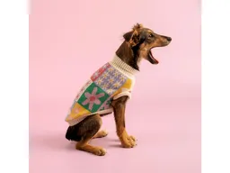 Chaleco Mascota M Casaideas