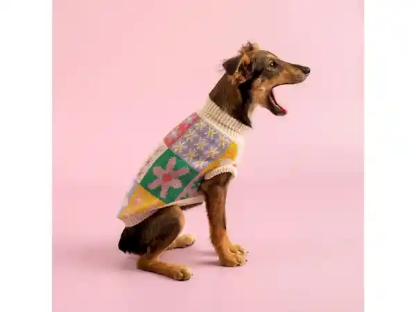 Chaleco Mascota M Casaideas