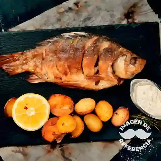 Pargo Rojo Frito