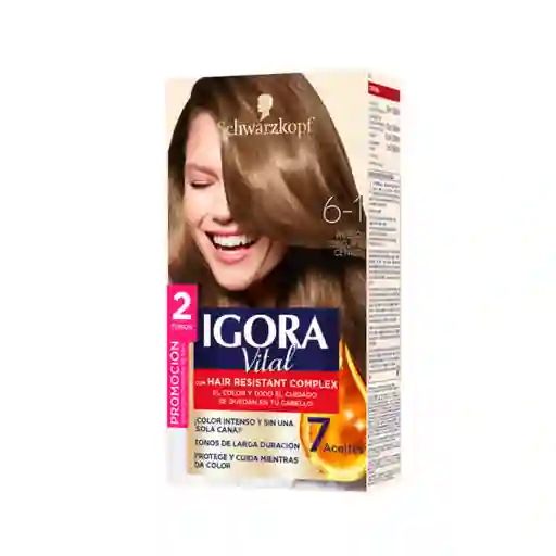 Igora Vital Tinte Rubio Oscuro Cenizo 6-1 100 mL