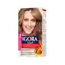 Igora Tinte Vital Rubio Claro Cenizo Profundo 8-11 100 mL