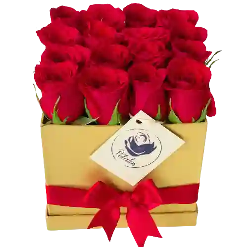 Caja Con 16 Rosas Rojas - Dorada Deluxe