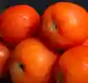 Tomate Río Grande/ciruelo