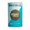  Wheatgrass Pasto de Trigo Orgánico Deshidratado y Pulverizado