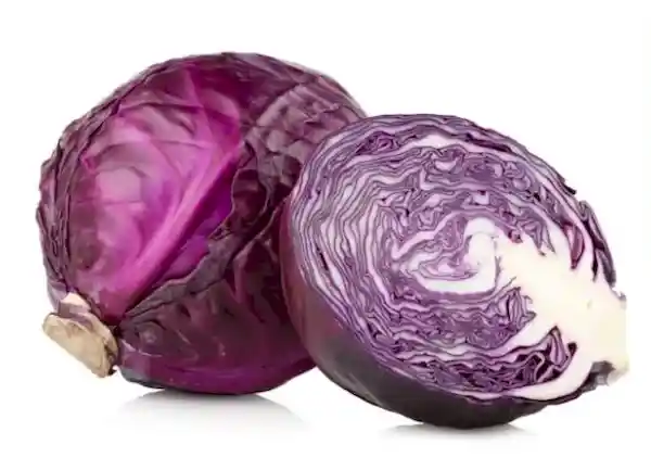 Repollo Morado