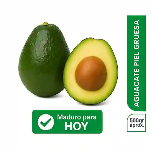 Aguacate Piel Gruesa Turbo Para Hoy