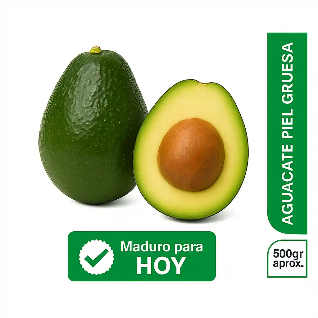 Aguacate Piel Gruesa Turbo Para Hoy