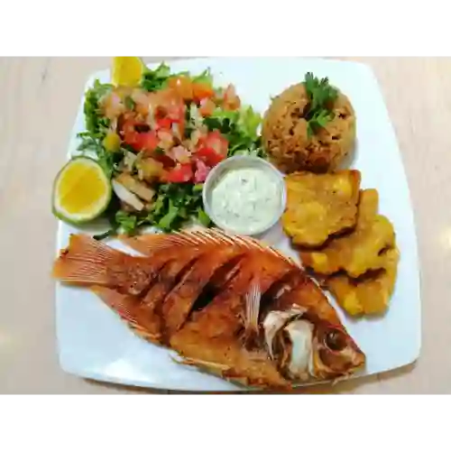 Tilapia Frita