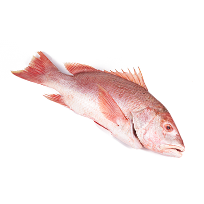 Pargo Rojo Mediano aprox. 540 g