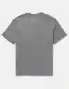 Camiseta Hombre Gris Talla Small American Eagle 3774006