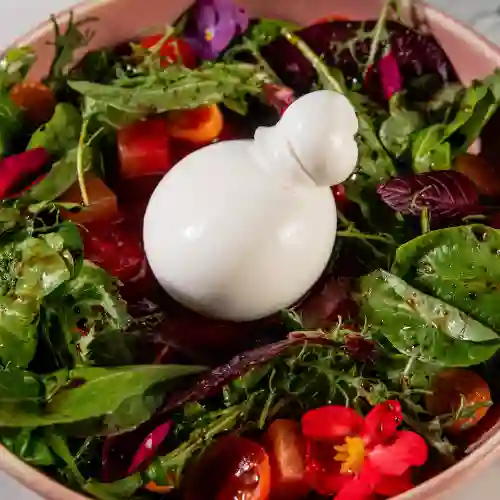 Burrata