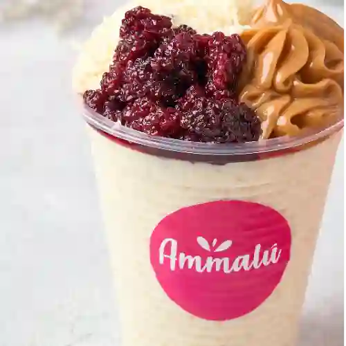 Arroz Giga Delicia Ammalú 14 Oz