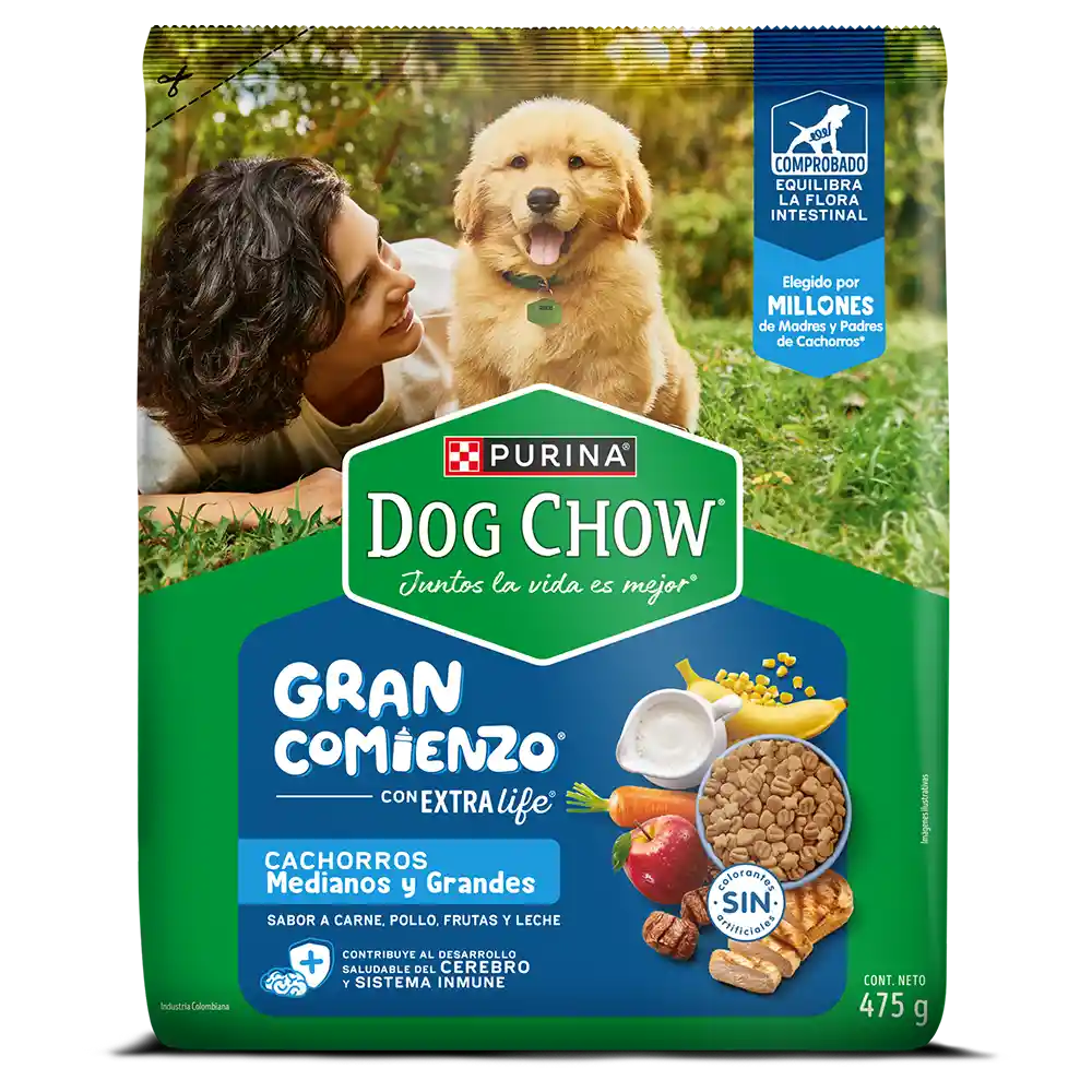 Comida para perro Dog Chow Cachorros Gran Comienzo Medianos y Grandes x 475g