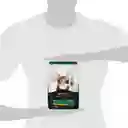 Comida para Gatitos Purina Pro Plan x 1,5 kg