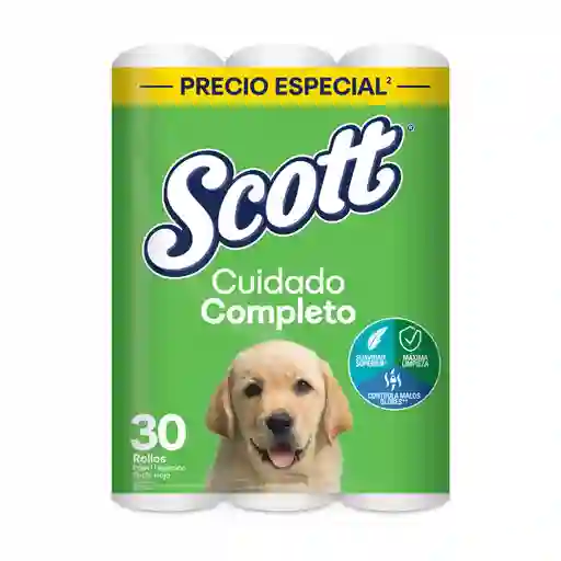 Papel Hig. Scott Tri.hj. X30rolx21 C-u Pr.esp.