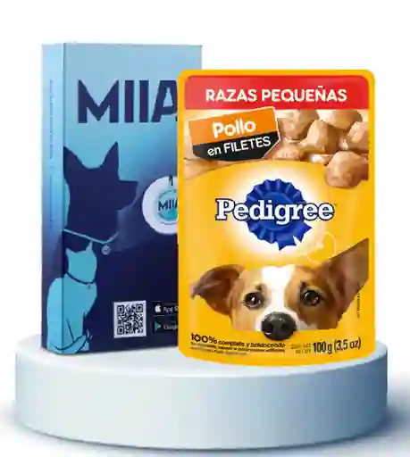 Combo Miia + Pedigree Sobre Razas Pequeñas Pollo 100 g