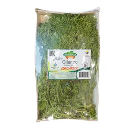 Hortifresco Cilantro Orgánico 