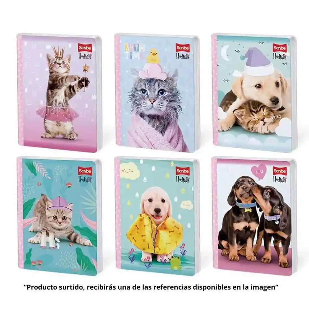 Scribe Cuadernos 