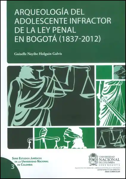 Arqueología Adolescente Infractor de la Ley Penal en Bogotá