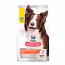  Hills Alimento Para Perro Canine Ad Perfect Digestion 