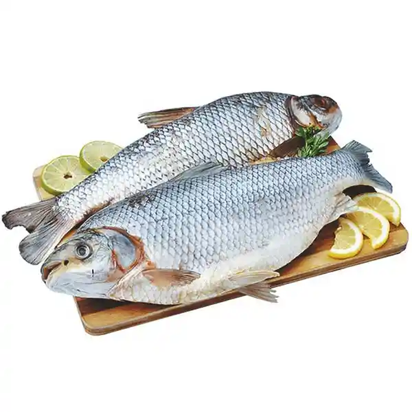 Pescado Bocachico Rodajas a Granel