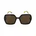 Gafas Para Mujer Color Havana X17014 Steve Madden