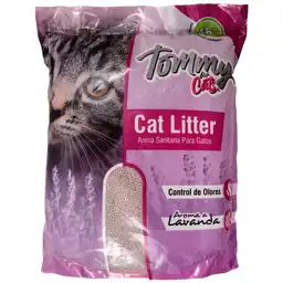 Tommy Arena Lavanda