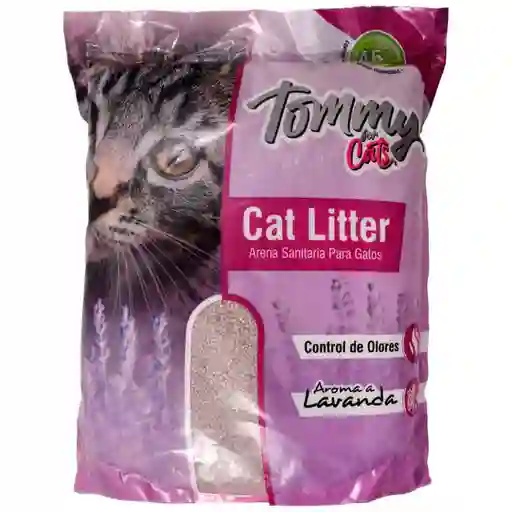 Tommy Arena Lavanda