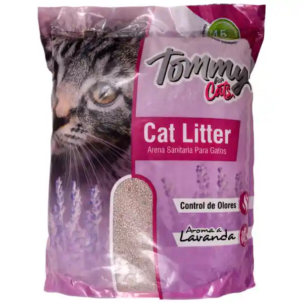 Tommy Arena Lavanda