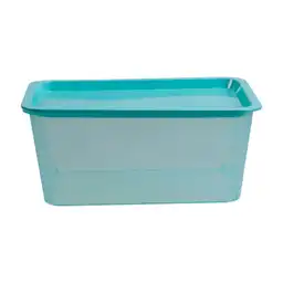 Caja Plástica Promocional Salvia