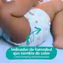 Pampers Pañales Baby-Dry Talla 4 x 128 Unidades