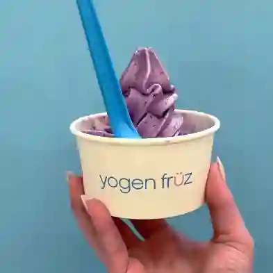 Frozen Yogurt S - 6 Oz