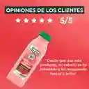 Shampoo Hair Foof Garnier Sandía Revitalización 300 mL