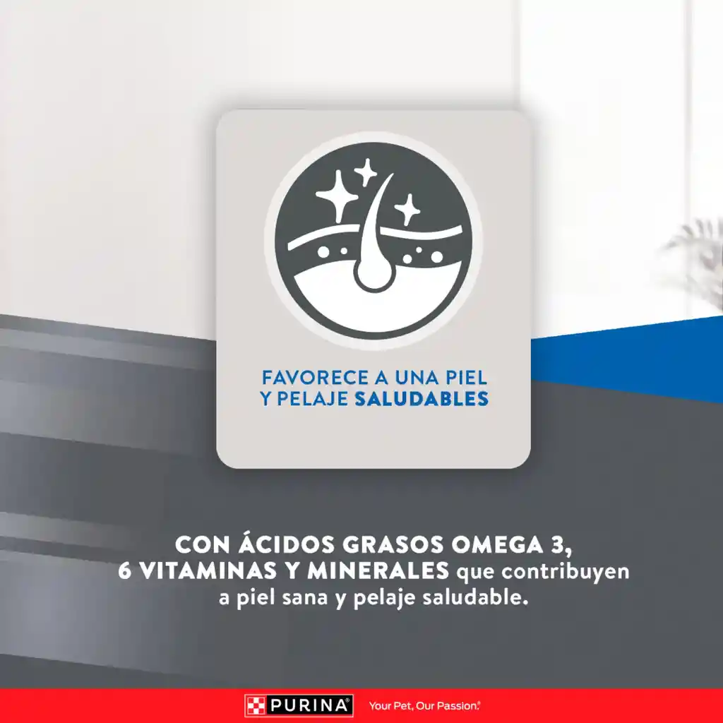 Comida para gatos EXCELLENT Adult Cat x 1 kg