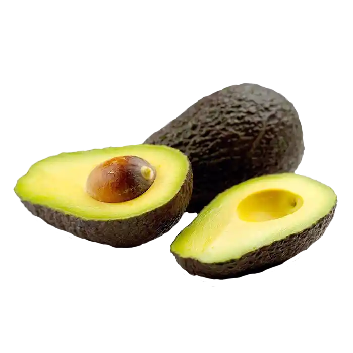 Aguacate Hass