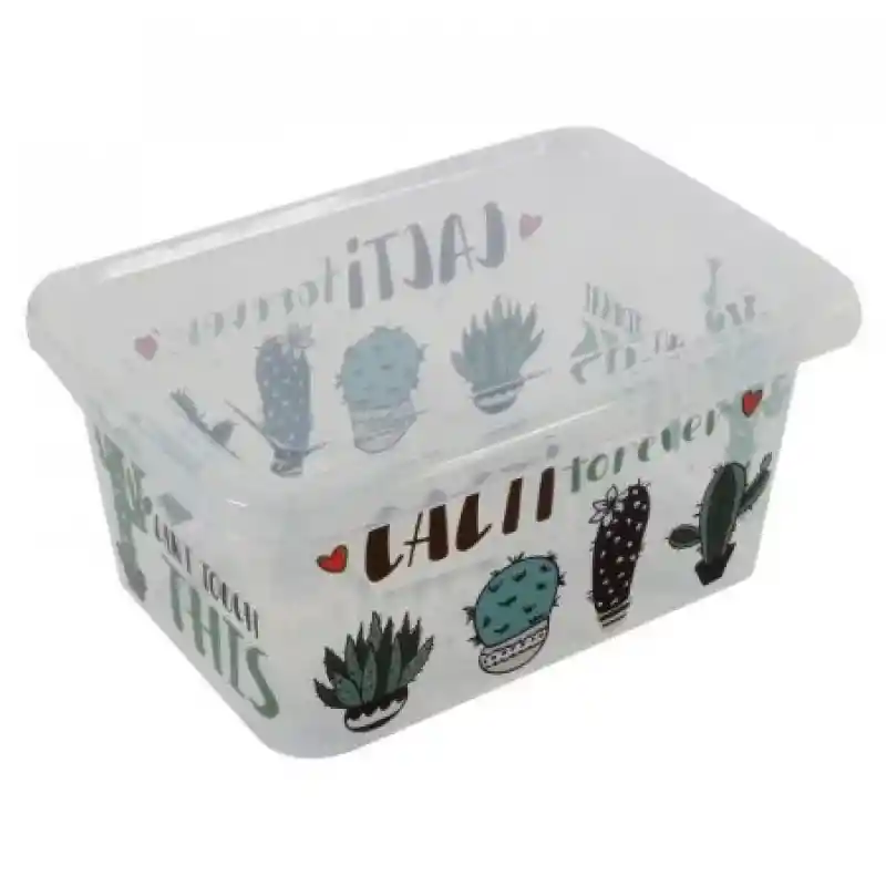 Great Plastic Caja Organizadora 4344 Cactus 8 L