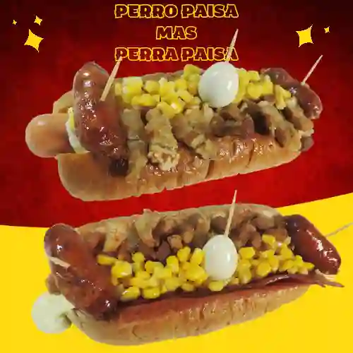 Perro Paisa Mas Perra Paisa