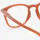 Izipizi Gafas Reading E Spicy Clove +2.0