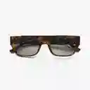 B+D Gafas Sol Gislev Milky Carey