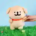 Peluche Entusiasta de la Comida Golden Retriever Maltese Miniso