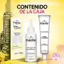 Palette Shampoo Tone Cream Negro Sin Amoníaco 113 50 mL