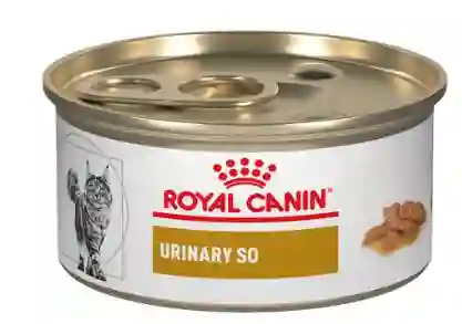 Royal Canin Alimento Húmedo para Gato Urinary