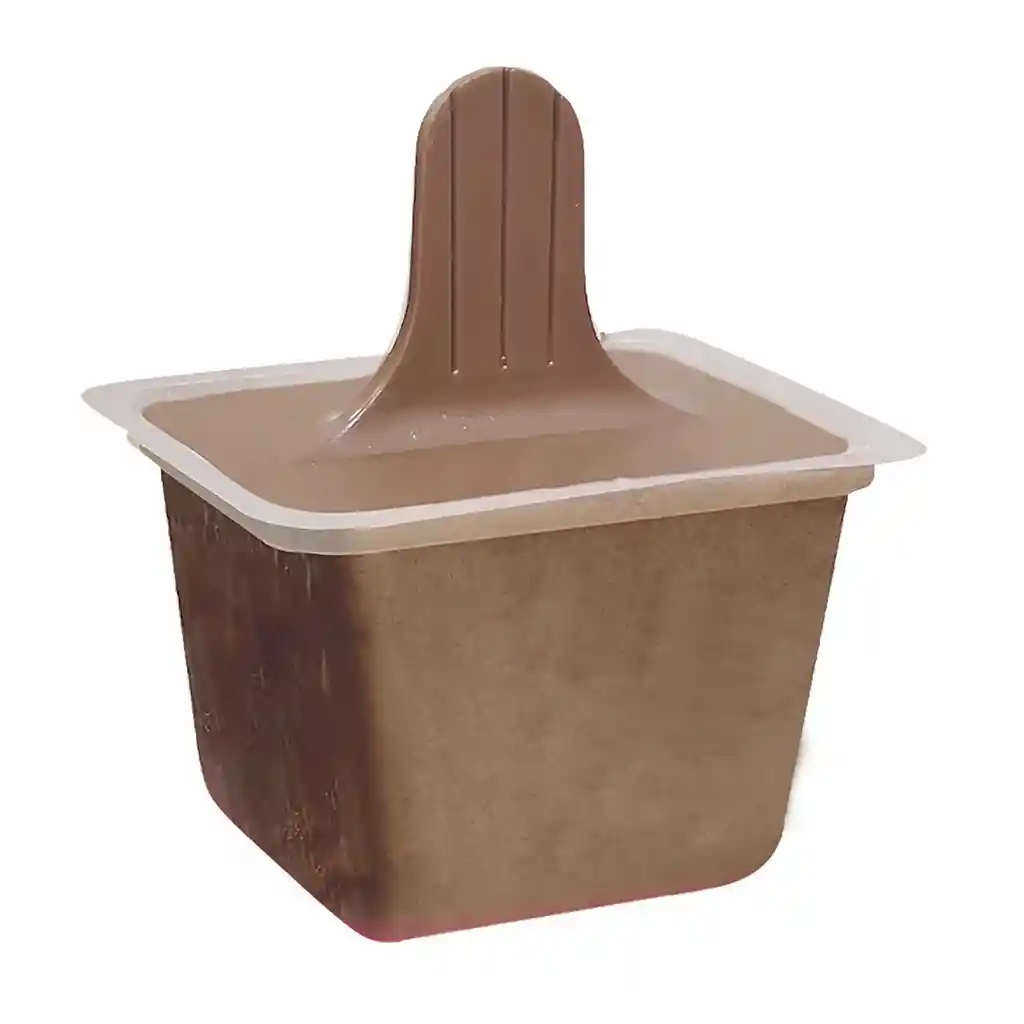 San Jerónimo Helado Tradicional Sabor a Chocolate